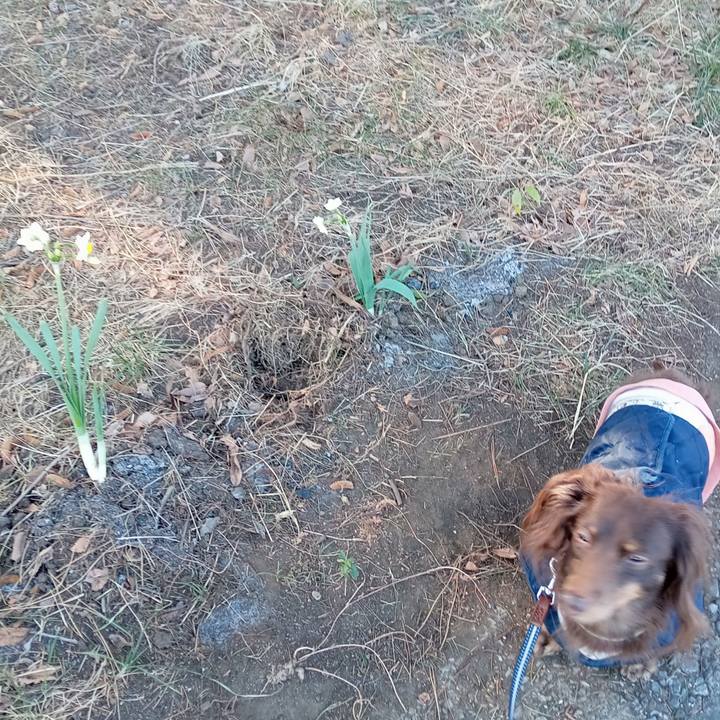 Bbabc965 9948 4fd4 a47f 0d902512785e 1769981150788