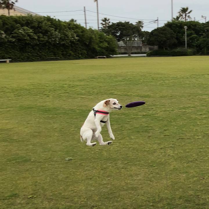 Bbabcf4d 38f1 4de1 8476 cdb13c72a4ad 1525360571905