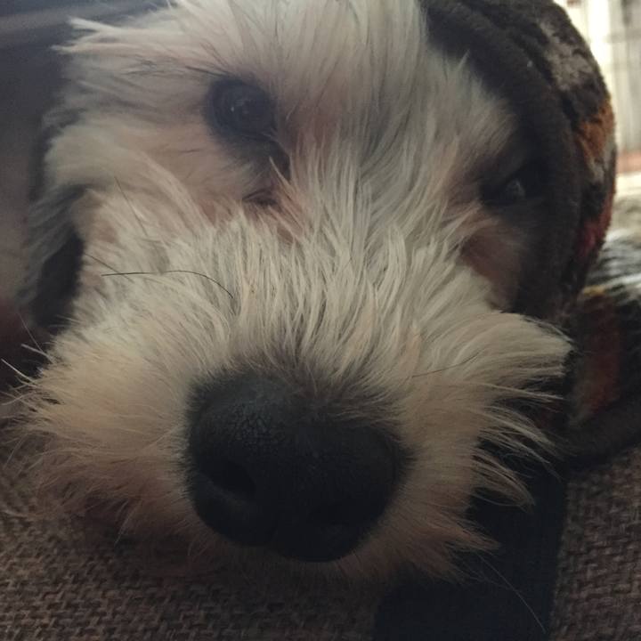 Bbabee96 ae16 4cc5 b90a d4137c1c9116 1523071199628