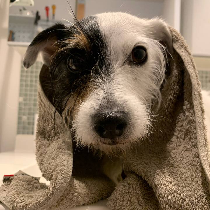 Bbabfdba 2b60 43df 91f8 711284de4029 1685350563221