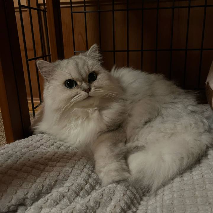 Bbac121e 8cea 4476 b704 d594dff14e7e 1730373796511