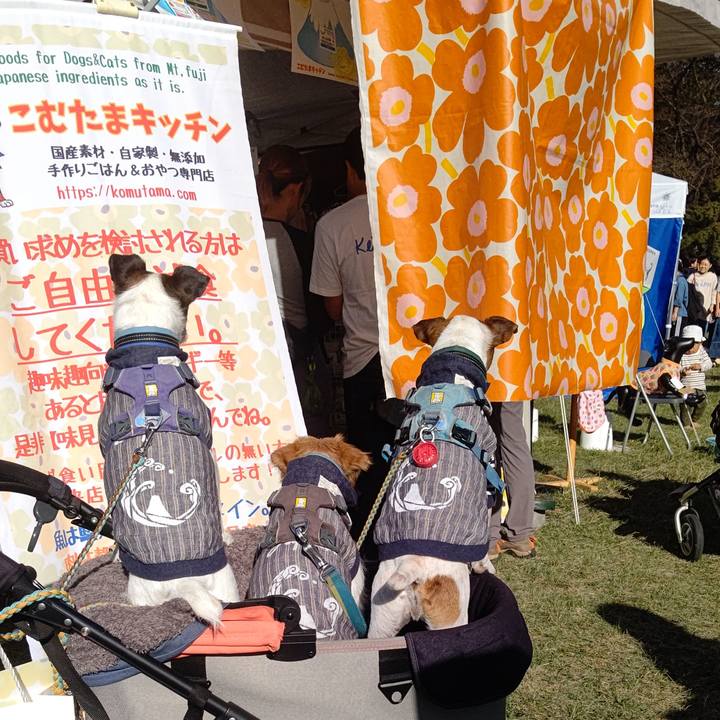 Bbac2809 efc7 4cea a724 0baf32c05513 1698072339106