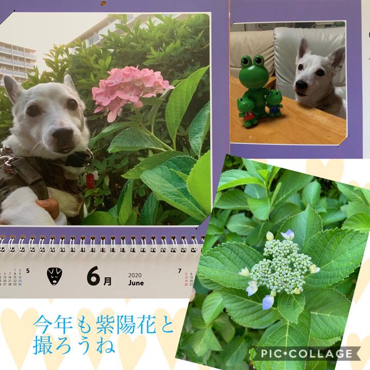 Bbac3f3d 85f0 425c ae46 3b54369ab503 1591750473932