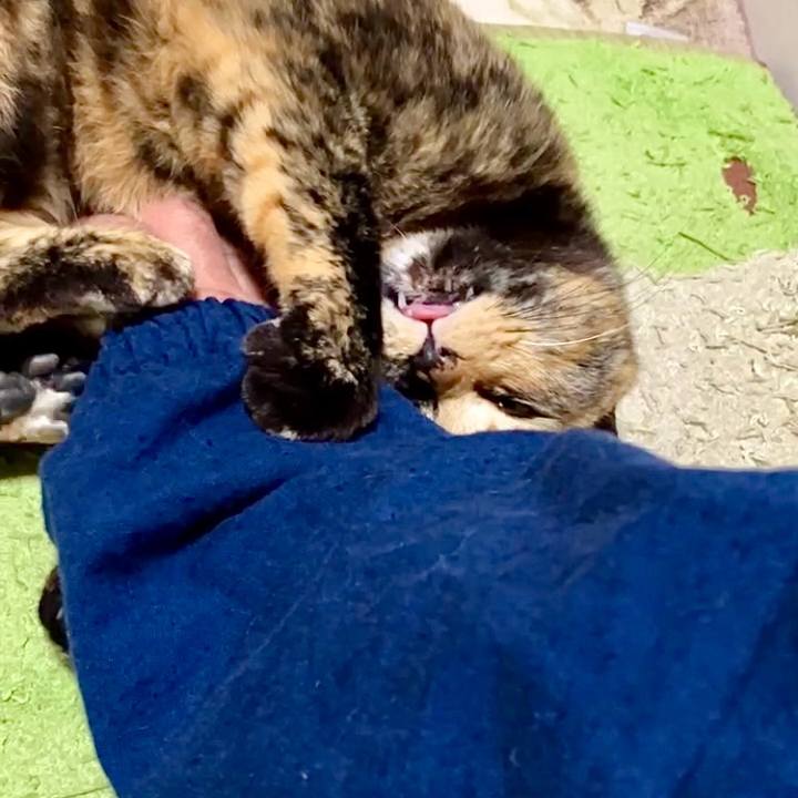 Bbac493e c83d 4bc1 a824 1ff555b41bc2 1733390882258