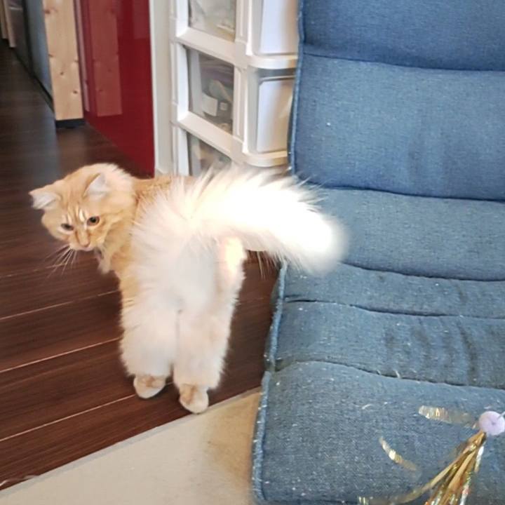 Bbac61b9 7f39 464f a4ef 473211d49d6e 1672287079944