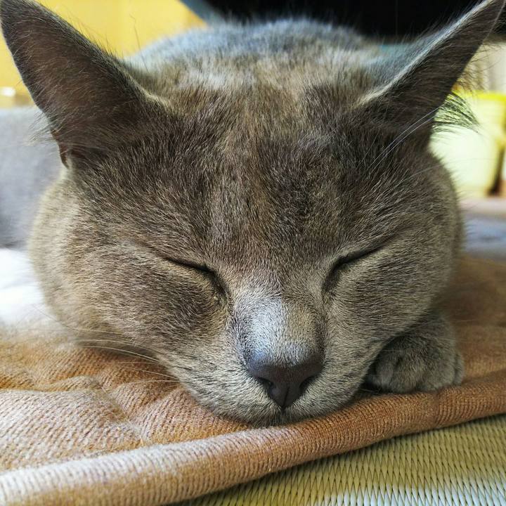 Bbacd681 2c05 46bc 9b20 29dd9b46feb9 1527063943668