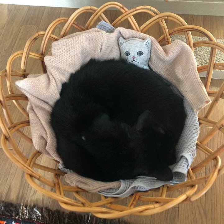 Bbacd836 bc36 4e81 9fab 9188806c6baa 1609295833105