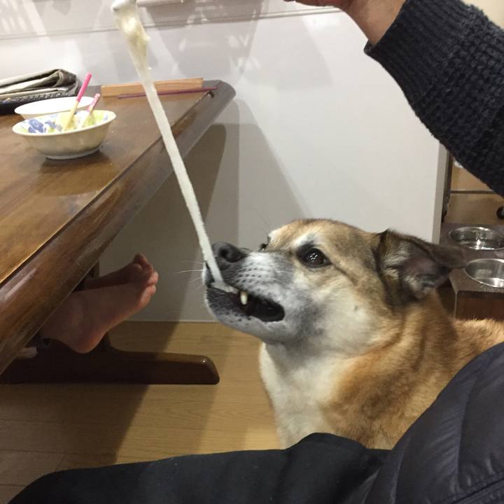 Bbad0f73 0ae6 4ff7 84c8 998b8d160e4f 1577680650413