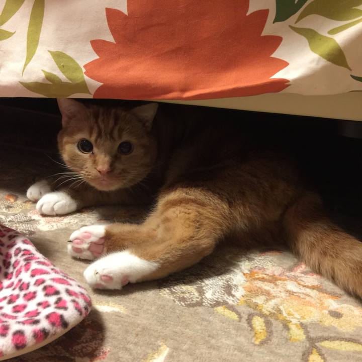 Bbad185c b423 4f0a ba81 c1c13d9f5bb9 1546956802866