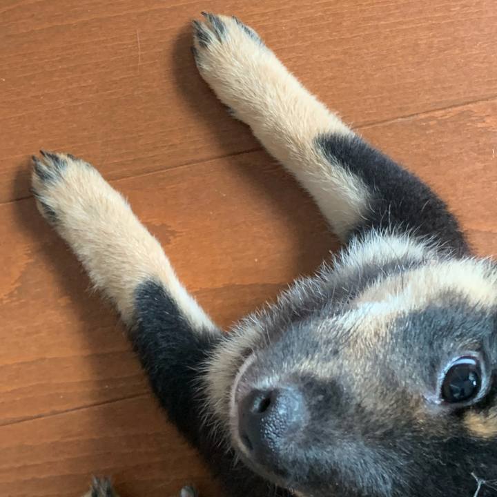 Bbad2872 14db 46ee ada7 2409f7f6b9d5 1600561300803