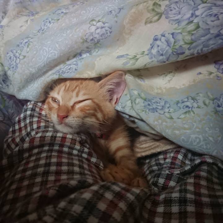 Bbad2c19 118f 402b 9d3f 16dea870870e 1630904240910