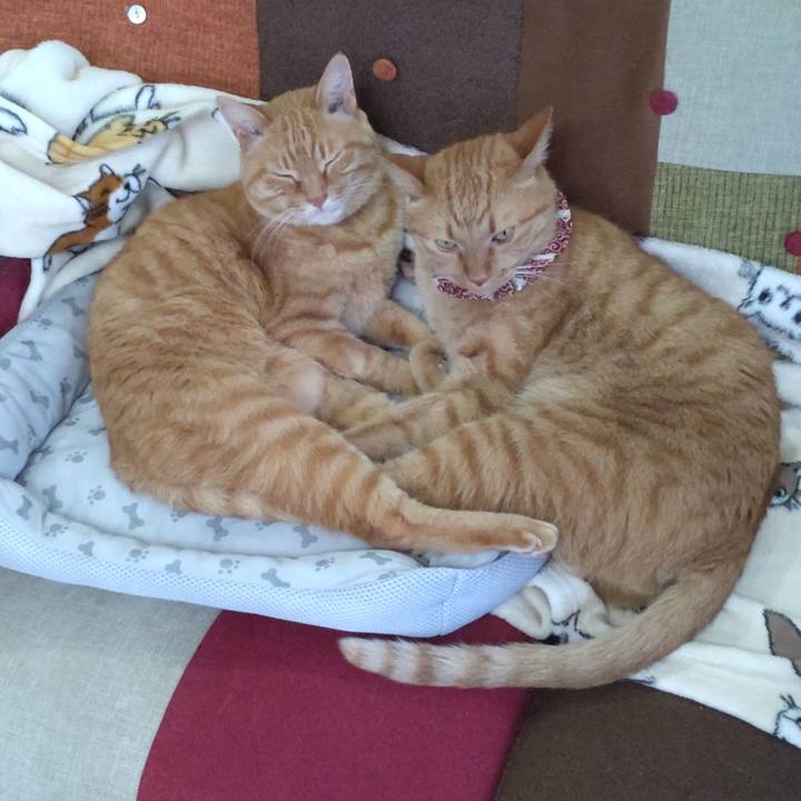 Bbad3b9e eb66 4b80 844b 50509465581f 1714468118343