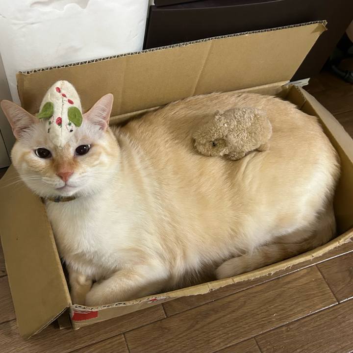 Bbad6fd1 b395 438e bf78 0ea4e7c762d6 1764047262721