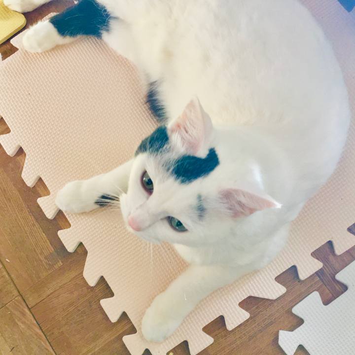 Bbad74ac b197 4d53 836c bb38e770e18b 1578046670592