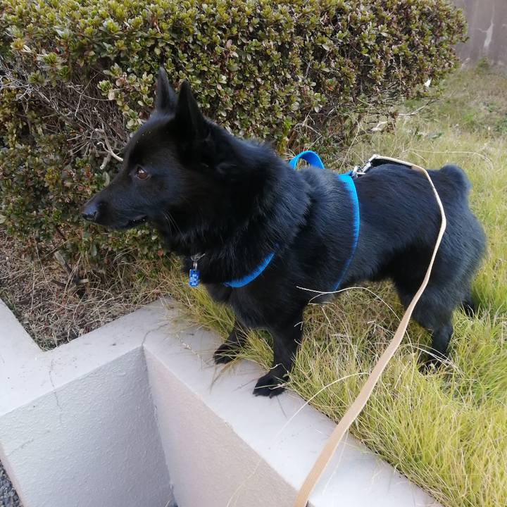 Bbad874a fb9c 4e93 b0f4 0efb7872c728 1635373085829