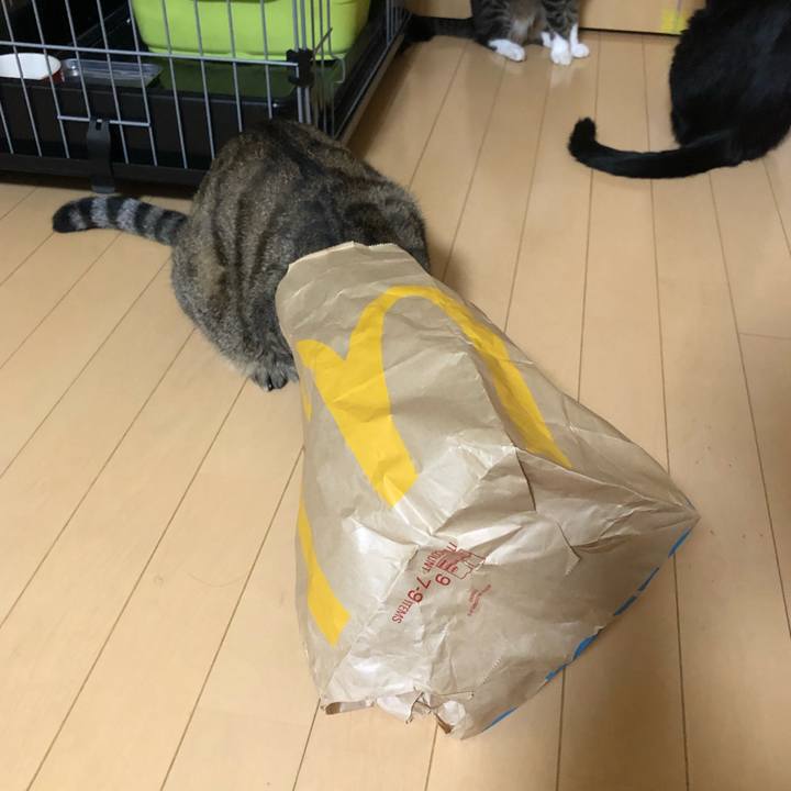 Bbadb648 cf73 4524 b341 ef3ef349623a 1602535207849