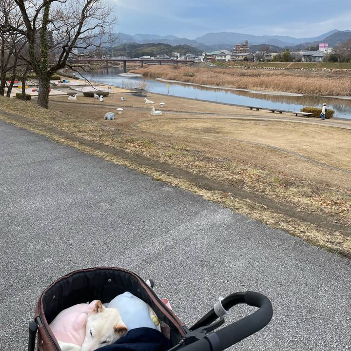 Bbadcd14 0bb4 47bc b7b4 80182a29da49 1673515427023