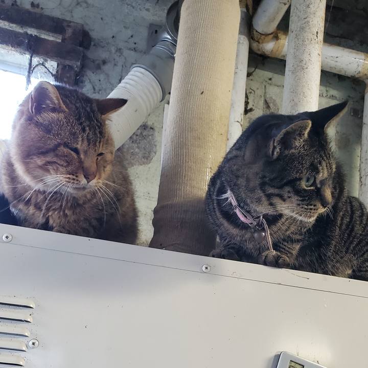 Bbadd13c e105 4c0c a54e 7a0e472747f8 1700057467668