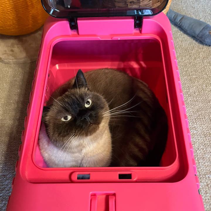 Bbade957 1037 47ef ae6e 1e7c17fb42a9 1760050684027