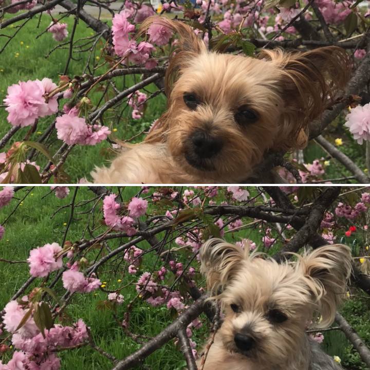 Bbae068e ab24 4705 bf4c addc464851ef 1589278100691