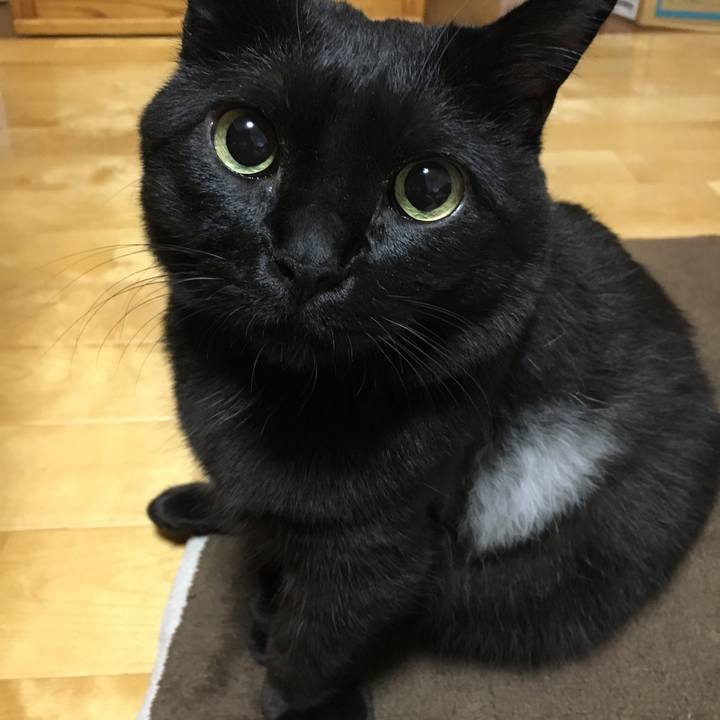 Bbae09a0 3d6d 42a9 9b02 54feb5fc4c68 1509629324341