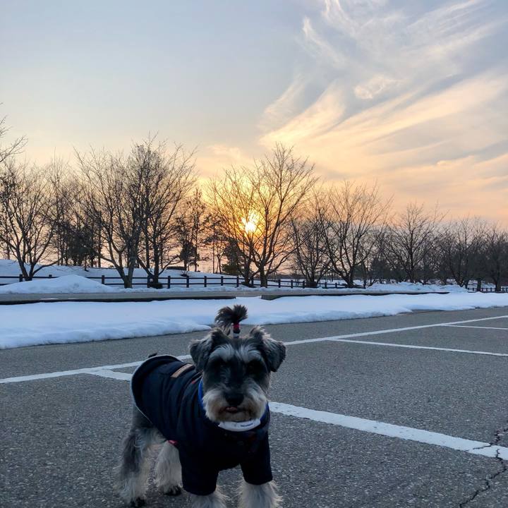 Bbae129d d4b2 420d a555 4e8545b6d012 1645877178590