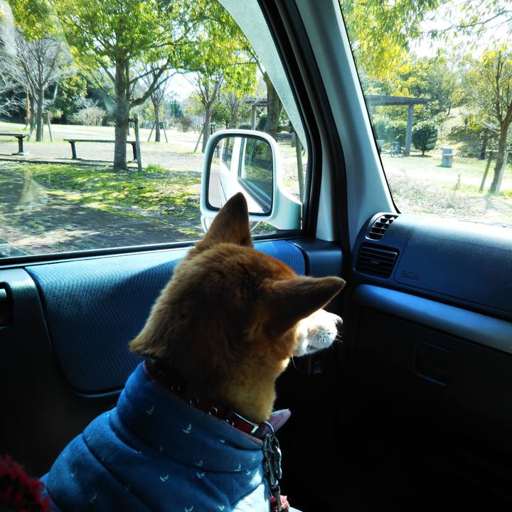 Bbae152b 6a01 4c66 8cea 42f7a4e2c59b 1584286030763