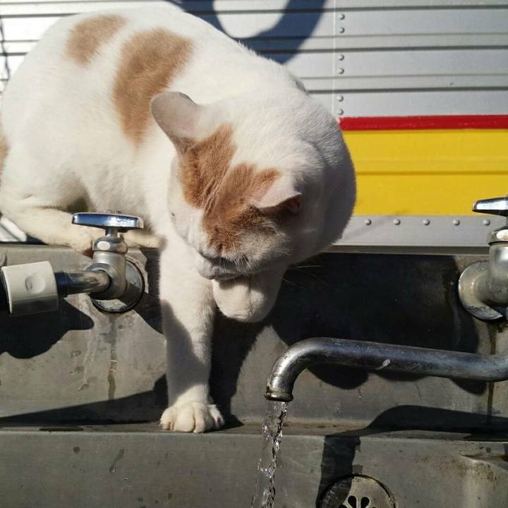 Bbae1cc1 e042 46e5 b9a1 23ac129381e8 1513050574134