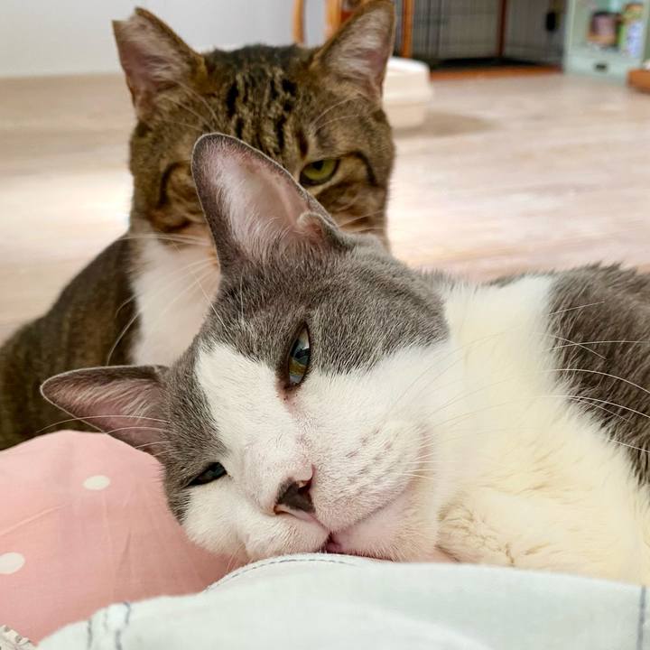 Bbae22e2 e431 4d4d 9ea5 852ebb8388ae 1760335656344