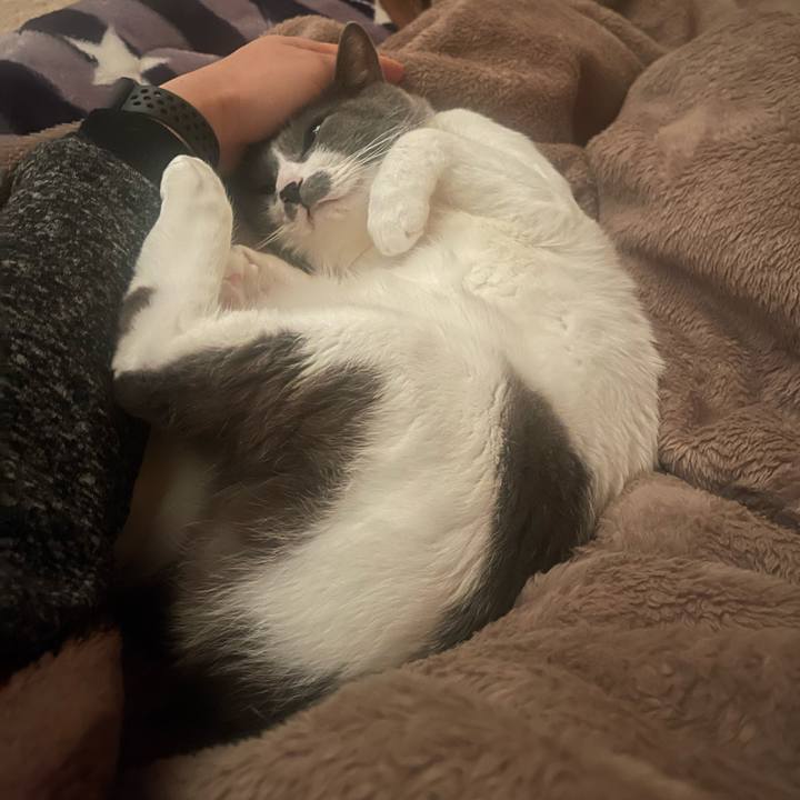 Bbae5b51 5e38 4e39 aeef 327835aef78f 1670973348372