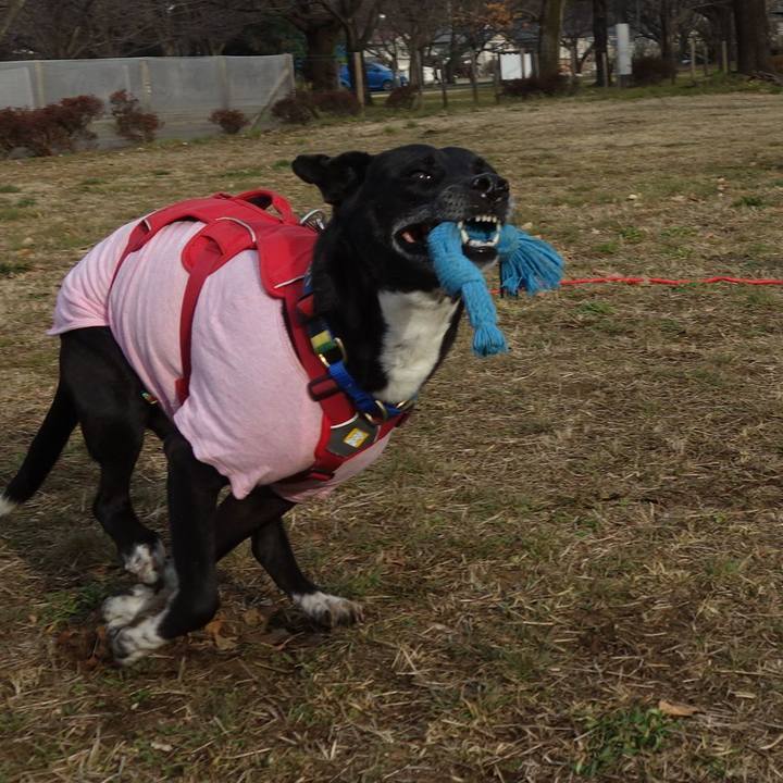 Bbae68aa 450a 4aa2 90a0 557ad4a97088 1676767739991