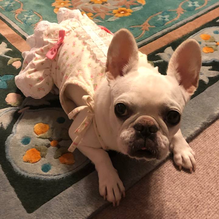 Bbae7ba8 754e 4e6c 9406 660b08e469f6 1663840687351