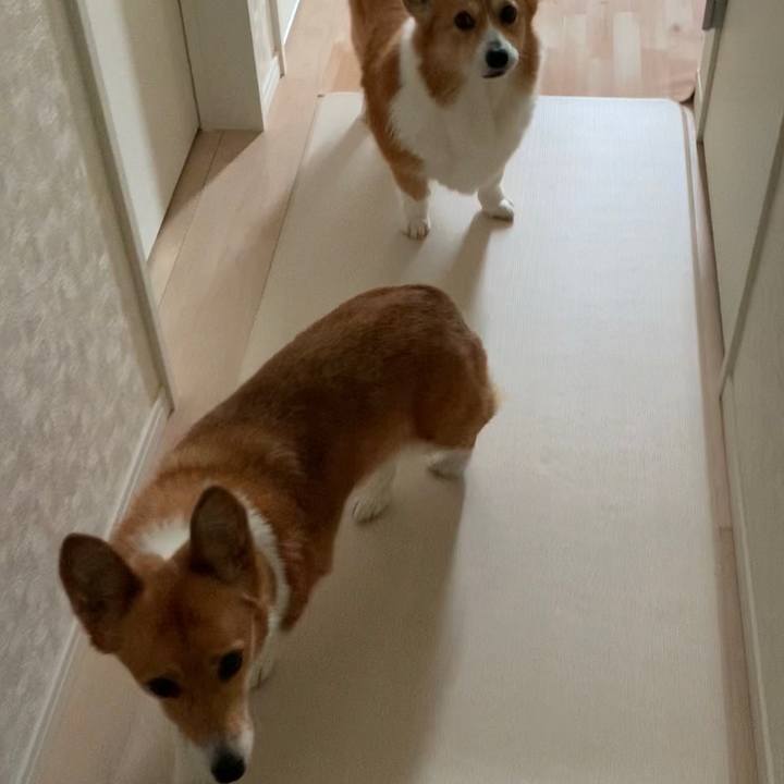 Bbae9c3a 4d00 43f9 aeee 9a267f16ae2a 1674439256454