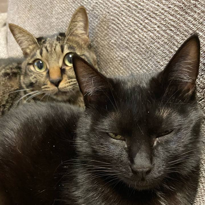 Bbaeafc2 6295 4817 8ebe 6dd1dc21ac8e 1643195590287