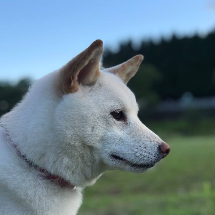 Bbaeb595 a861 46ce 844d 98de85f0f0cb 1563141415429