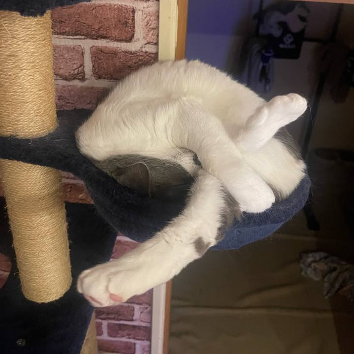 Bbaecd83 6380 4bed aeb4 49a3b955c903 1700743220806