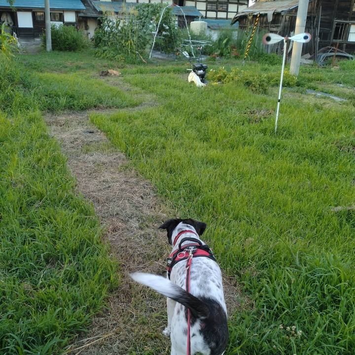 Bbaee47f 4a48 4d61 8304 6334201961b1 1690539993084