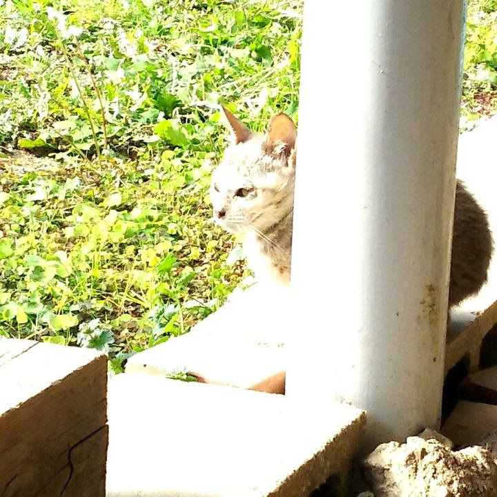 Bbaee5e8 729b 4c79 a7d4 d541d8c8ef45 1512532631160