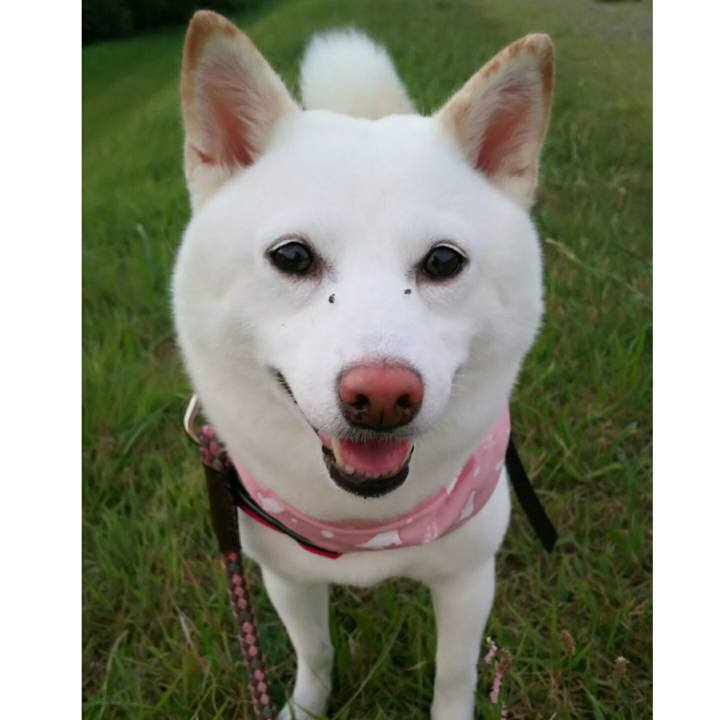 Bbaef80d 3a9e 4b7a a2bb b89c718541bd 1531824384593