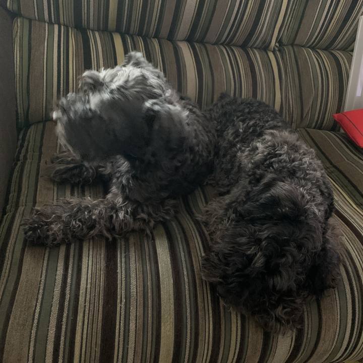 Bbaf1f14 d356 465a 9ff9 6d74cf653c12 1590276835119