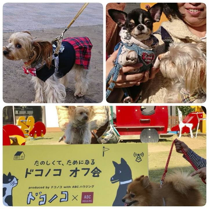 Bbaf3980 f7e2 4a0c a22c fbcaa4a68735 1542522415123