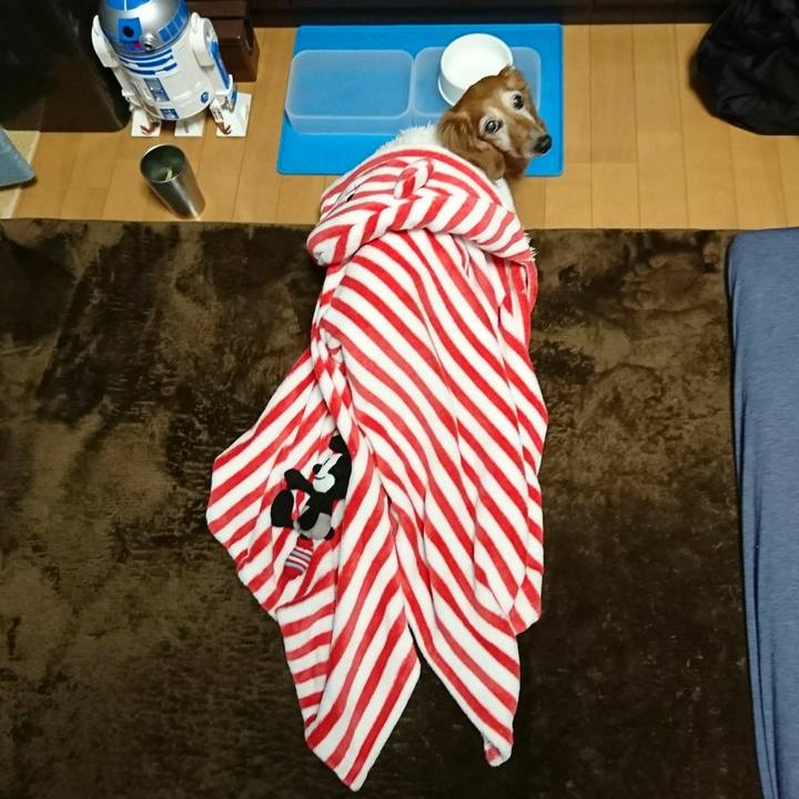 Bbaf3dc0 c0fd 4351 a94a 863834aca562 1515140652692