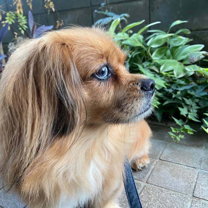 Bbaf4c8d df9d 4c71 887e 1140ca9b09db 1634161474382