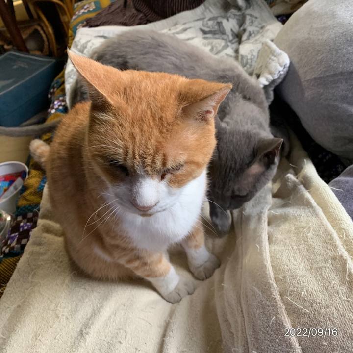 Bbaf59b0 6811 46b8 b6ec 47010d80d7c6 1663407537087