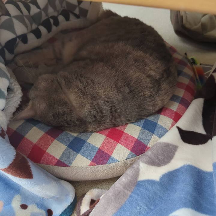 Bbaf5ca1 3bda 4d53 b68d ccefa4afdac6 1696824256108