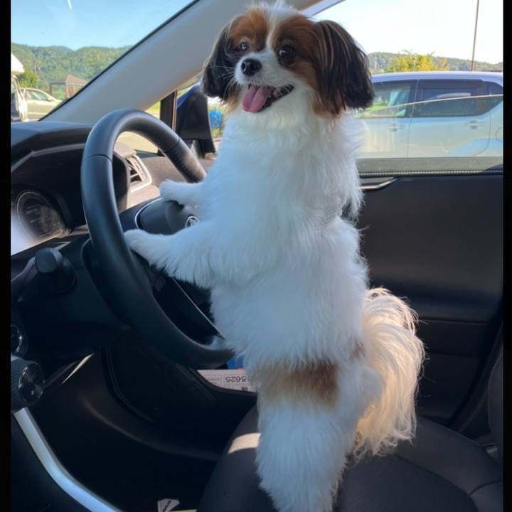 Bbaf9006 dac6 4b82 8cbe 63640a9f7e70 1757828821078