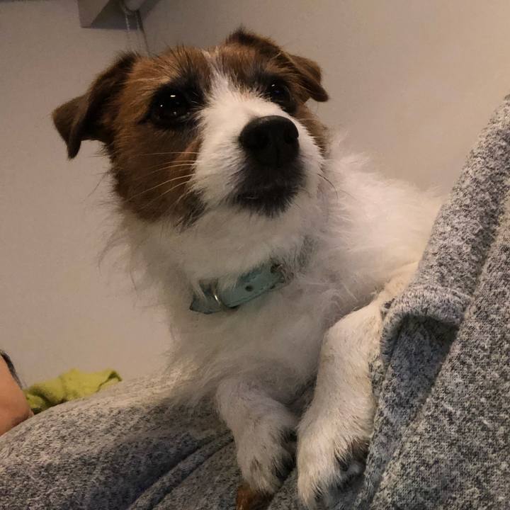 Bbaf953d 369c 4fbf a85f d1e83199a448 1580732668806