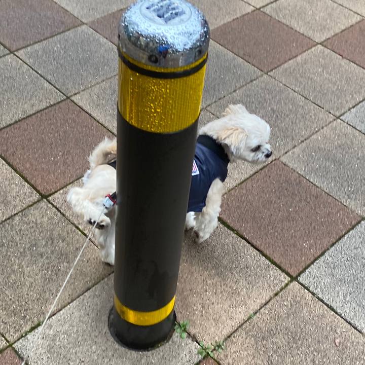 Bbaf96c9 4b35 4477 94ef 0b06de103b85 1575248625347