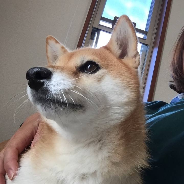 Bbaf9ad7 0253 4beb 9a08 40b867b80a38 1509751274185