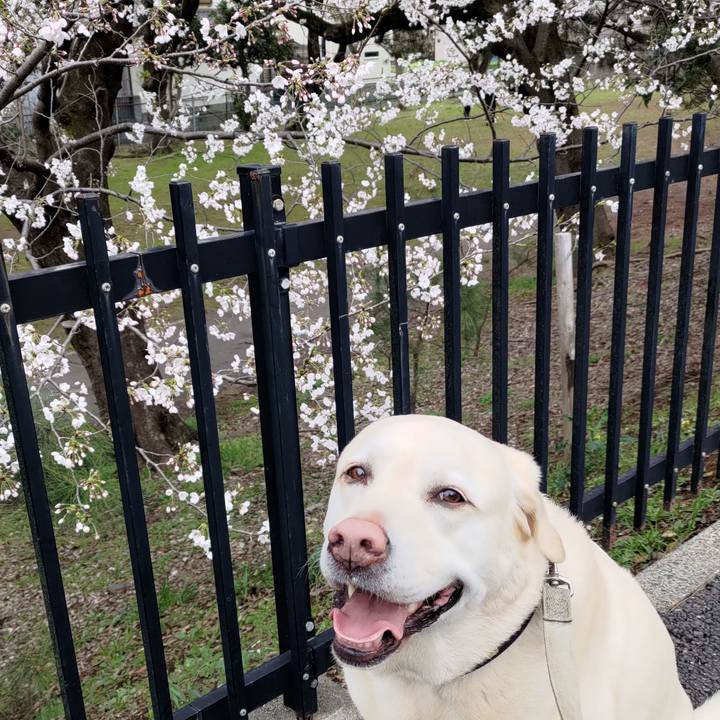 Bbafbd76 a502 4f30 bb12 5a495fca3a69 1712216231610